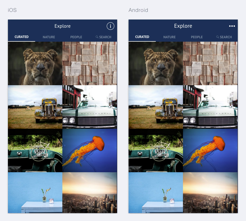 Personnalisation des icônes sous Ionic